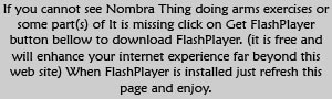 If you cannot see the Nombra Thing click on Get FlashPlayer button.
